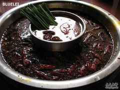 鸳鸯锅-重庆老火锅王(西安北路店)