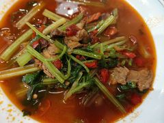 -刀马旦老成都板凳面(高新店)