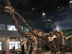 -自贡恐龙博物馆