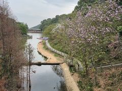 -广州市帽峰山景区