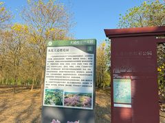 -天适樱花悠乐园