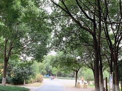 -自然谷恐龙园