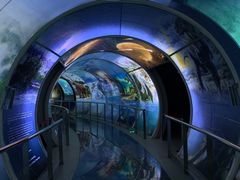 -房山世界地质公园博物馆