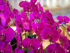 -天津水游城丽筠酒店