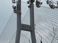 -南浦大桥长途旅游客运站