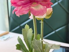 -五稻厨房粤西菜(新闻店)