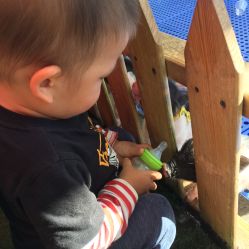 -萌宠亲子动物乐园(槐房万达店)