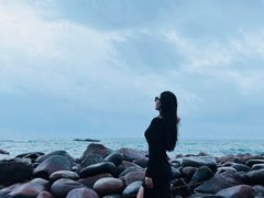 -广东惠东海龟国家级自然保护区