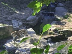 -大连森林动物园