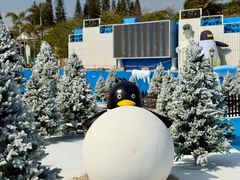 -汕头中海黄金海岸水上乐园