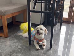 -东莞宠友24H宠物中心医院·转诊夜诊·异宠(新河北路院)