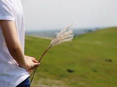 -恋山坝上草原