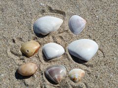 -西涌国际滨海旅游区