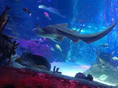 -沈阳海洋探索中心