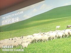 -巴奴毛肚火锅(二七万达店)