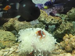 -泉州海丝野生动物世界