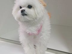 -宠颐生动物医院·心脏科·保险定点(锦阳分院)