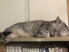 -隅cafe(傅厚岗店)