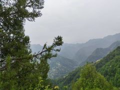 -秦岭风景区
