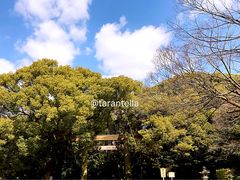 -热田神宫