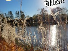-东郊湿地公园