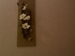 -Banana本娜娜·按摩养生SPA(上海湾店)