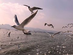 -滇池海埂公园