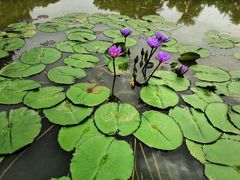 -南宁南湖公园