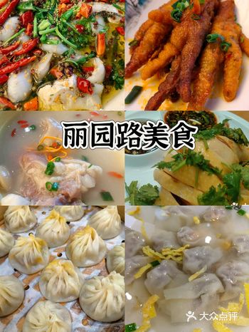丽园路西藏路到丽园路车站南路 虽然路不长 但有很多美