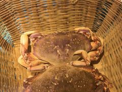 -拉完海鲜大排档(温岭店)