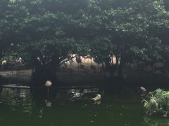 -九龙公园