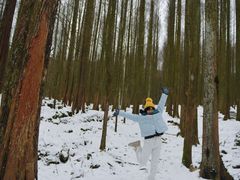 -武陵山森林公园