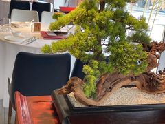-顺峰(农展馆店)
