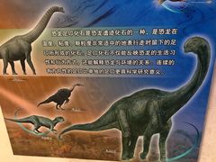 景点-甘肃地质博物馆