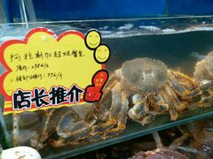 阿拉斯加长脚蟹-蚝专家(北滘店)