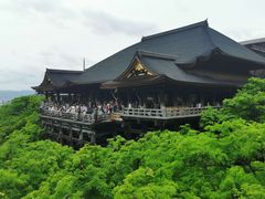 -奈良公园