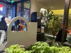 -杏花村水席楼·洛阳水席(老城十字街店)