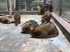 -西安秦岭野生动物园