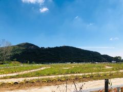 -海宁大尖山滑翔伞运动基地