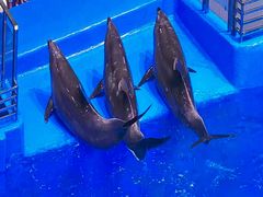 -福州罗源湾海洋世界旅游区