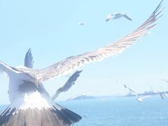 -海驴岛(荣成市)
