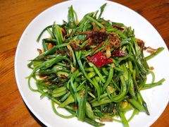 -菌自由丨野生菌火锅特色庭院餐厅(丽江古城店)