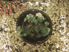 -锦上中式酒馆(南内环店)