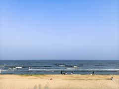 -日照海滨国家森林公园