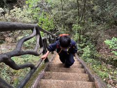 -灵栖洞天