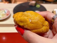 羽立海胆-橼舍鮨青木
