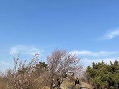 -香山公园