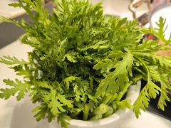 -椰子湾·海南火锅·糟粕醋·椰子鸡(正大广场店)