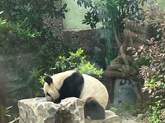 -上海野生动物园