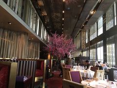 -金轩中餐厅 Jin Xuan(浦东丽思卡尔顿酒店)